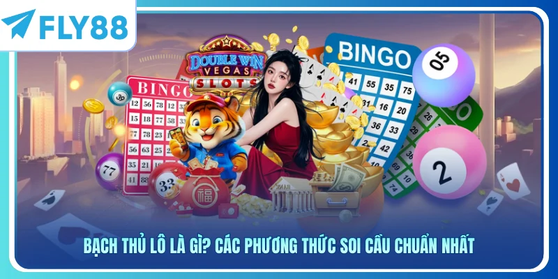 Bạch Thủ Lô Là Gì? Các Phương Thức Soi Cầu Chuẩn Nhất