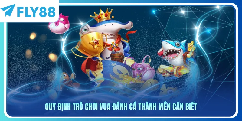 Quy định trò chơi Vua Đánh Cá thành viên cần biết