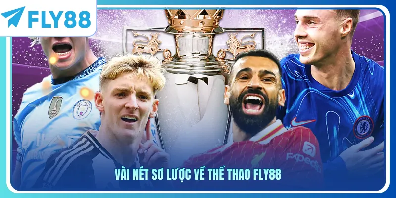 Vài nét sơ lược về thể thao Fly88